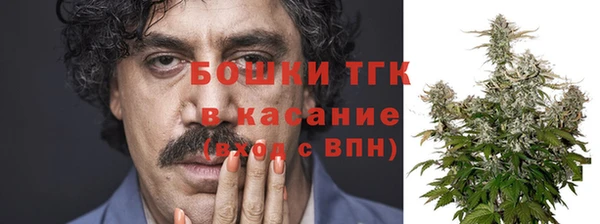 молекула духа Бородино