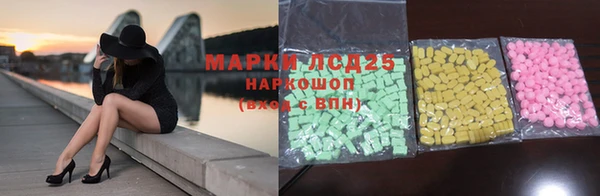 молекула духа Бородино