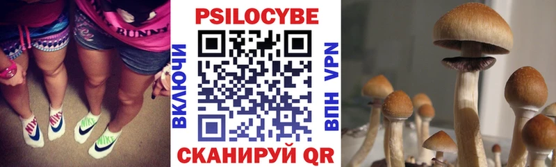Псилоцибиновые грибы Psilocybe  omg онион  Любим 